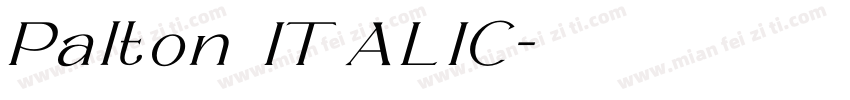 Palton ITALIC字体转换
